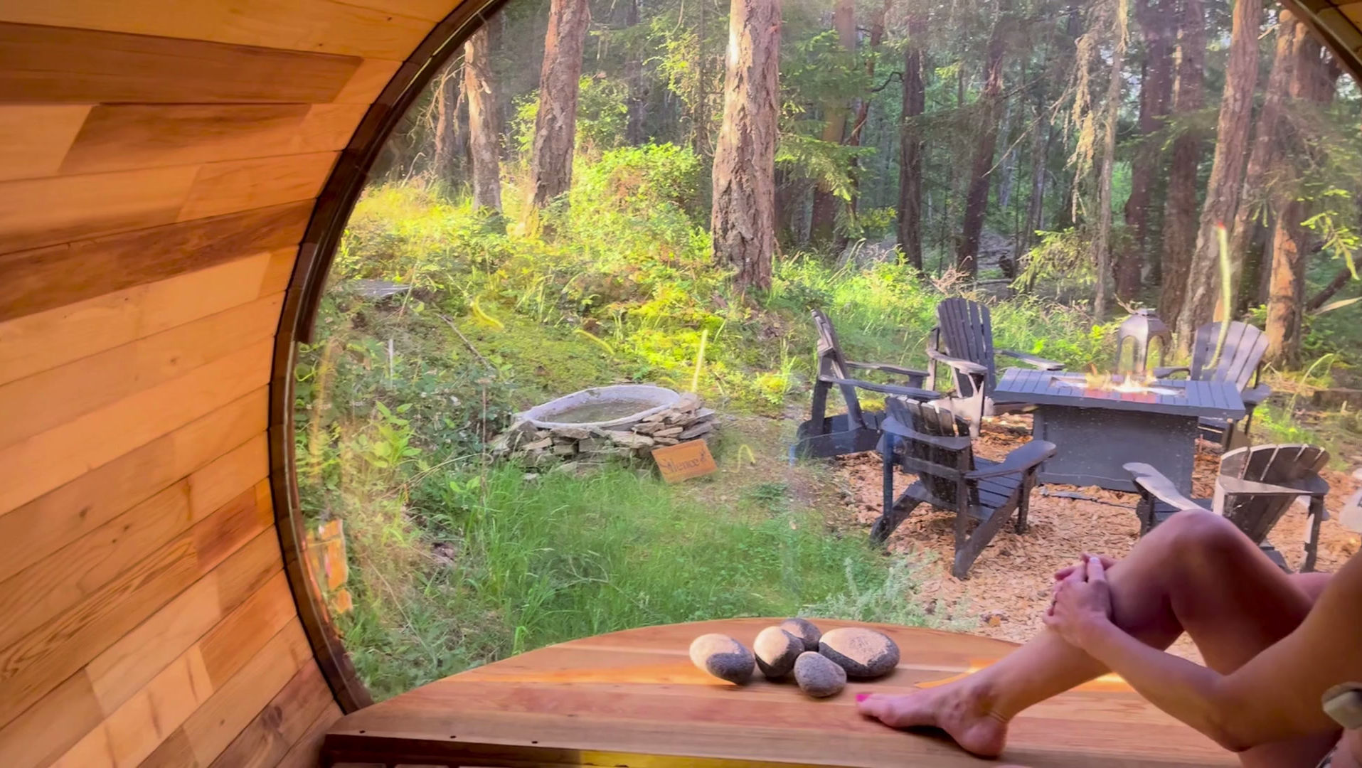 View from the cedar barrel sauna onto the forest